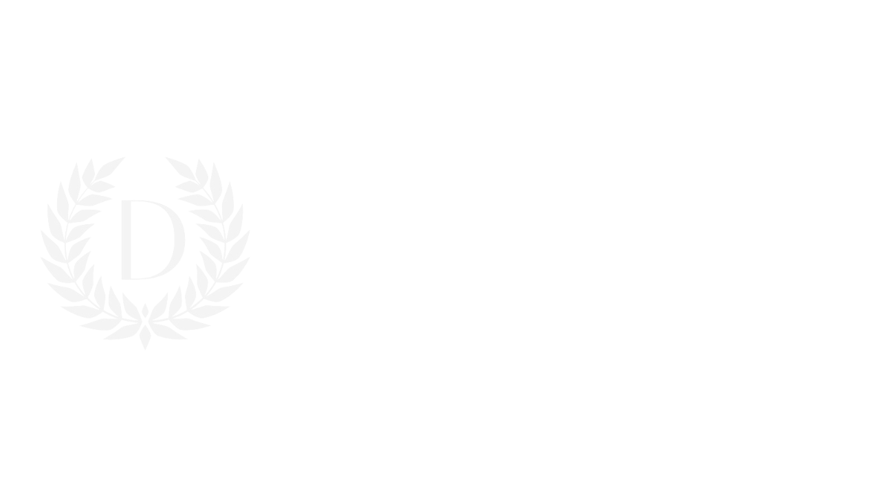 DanaVerso Roleplay Logo